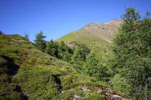 Klockalm 57770 2015-07-11.jpg