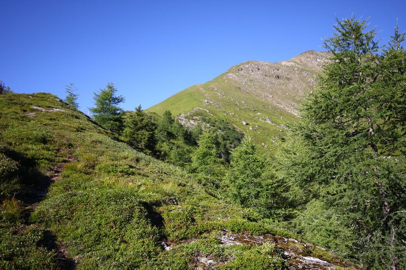 Datei:Klockalm 57770 2015-07-11.jpg