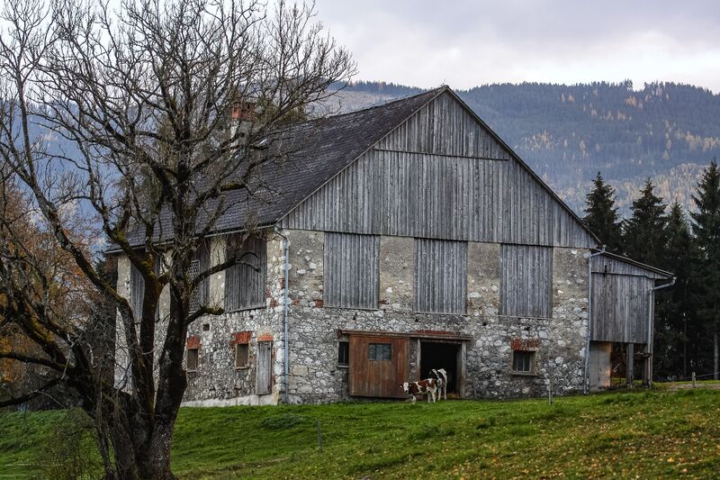 Datei:Leitner in Reith-403-2015-10-28.jpg