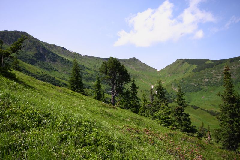 Datei:Mößnakar 0835 13-07-12.jpg