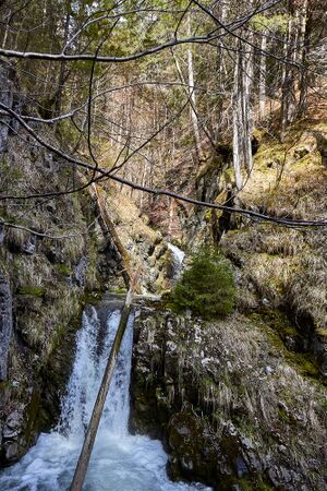 Mühlbach Lessern-17-2023-04-22.jpg