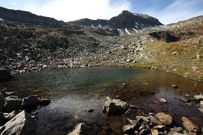 Datei:Nördliche krukecklacke 01703 2015-09-13.jpg