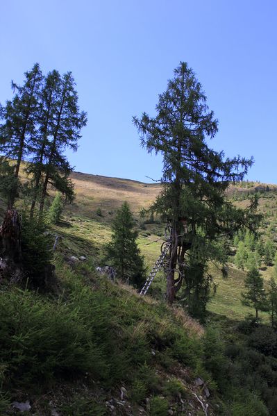 Datei:Ochsenkar sattental 57269 2017-08-25.jpg