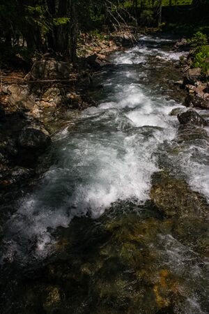 Putzentalbach kleinsölk 4984 13-06-20.jpg