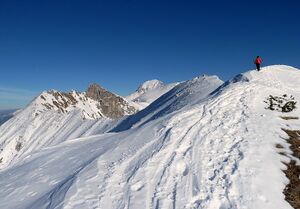 Riffel-Sparafeld -kreuzmauer.JPG