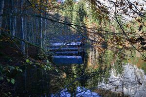 Toplitzsee 78198 2014-11-03.jpg