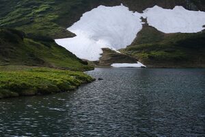 Untere riednersee 65354 2014-06-26.jpg