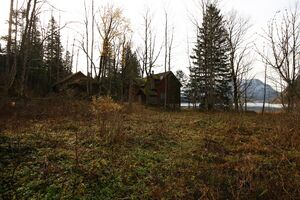 Altaussee seewiese 79076 2014-11-15.jpg