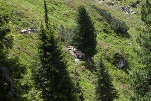 Auritzkar 94028 2015-06-26.jpg