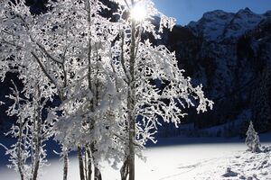 Bodensee 26580 2014-01-01.jpg