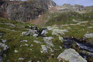 Duisitzkarbach 73213 2014-08-07.jpg