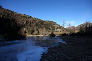 Duisitzkarsee 14368 2011-11-30.jpg