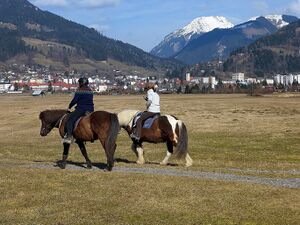 Ennsau Liezen1030866.JPG