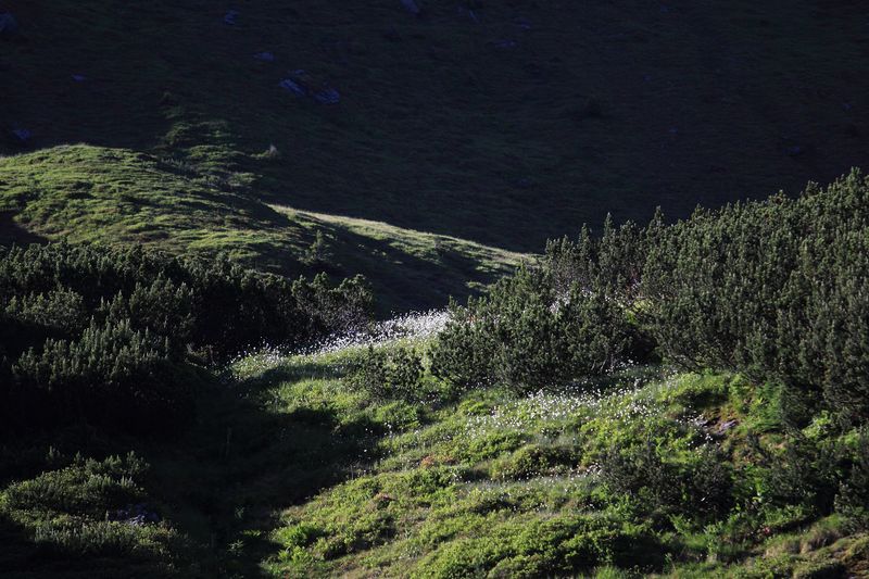 Datei:Gumpenkar 53208 2017-07-05.jpg