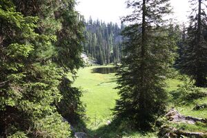 Karsee kemetgebirge 96853 2015-07-16.jpg