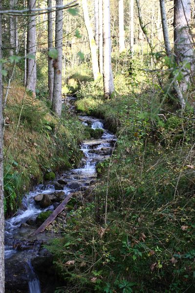 Datei:Lengdorferbach 10961 2015-10-27.jpg