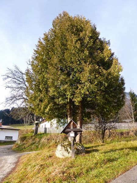 Datei:Marterl Franz Schmid1310807.JPG