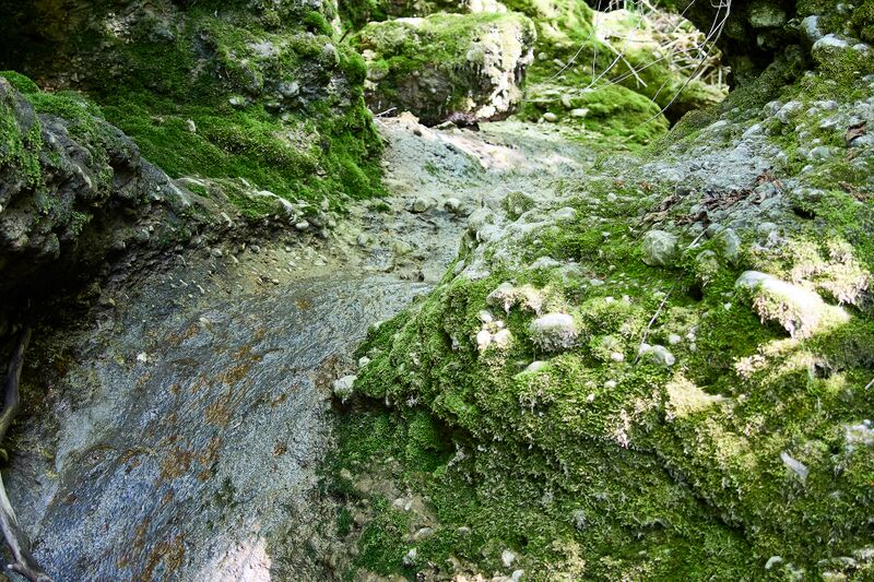 Datei:ND 356 Teichenbach Unterkainisch-0225-2025-05-01.jpg