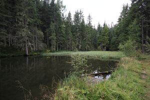 Salleitnerteich Oberhausberg 57583 2017-09-15.jpg