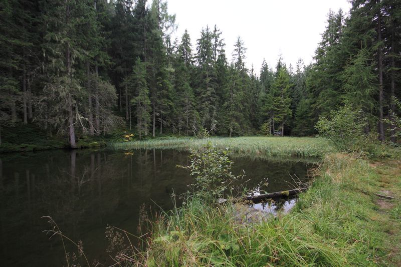 Datei:Salleitnerteich Oberhausberg 57583 2017-09-15.jpg