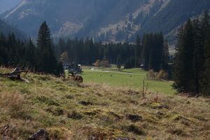 Schwarzenseealmen kleinsölk 74424 2014-10-07.jpg