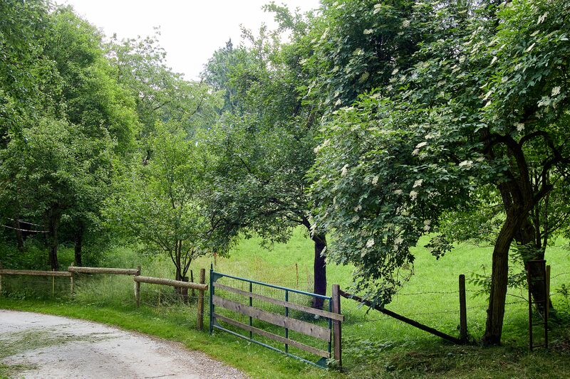 Datei:Stadlmann vlg lippebner-0725-2023-06-16.jpg