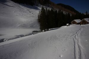 Tuchmoaralm 19892 2016-03-17.jpg