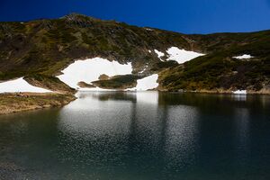 Untere riednersee-1004-2020-06-12-4.jpg