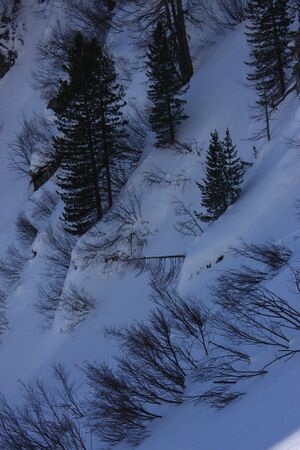 Wildkar 44969 2014-03-09.jpg