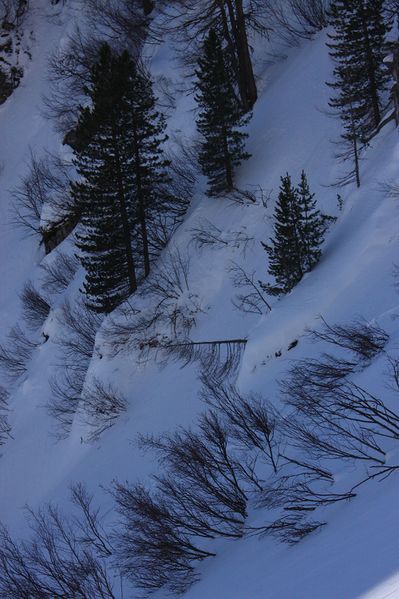 Datei:Wildkar 44969 2014-03-09.jpg