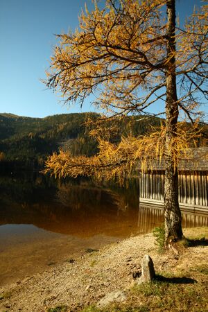 Ödensee 77934 2014-11-03.jpg