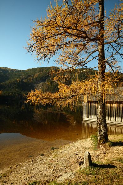 Datei:Ödensee 77934 2014-11-03.jpg