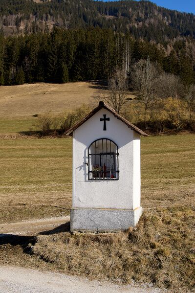 Datei:Bst Goldbichl-13-2025-03-06.jpg