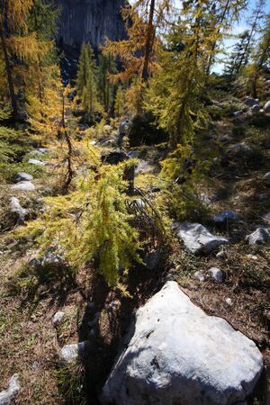 Elmgrube 37824 2011-10-16.jpg