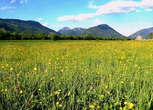 Ennsau Liezen50524.JPG