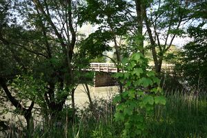 Ennsbrücke niederstuttern 58727 2014-05-26.jpg