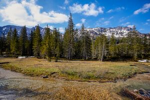 Flecklmoos -öderntal 20-05-07 1163.jpg