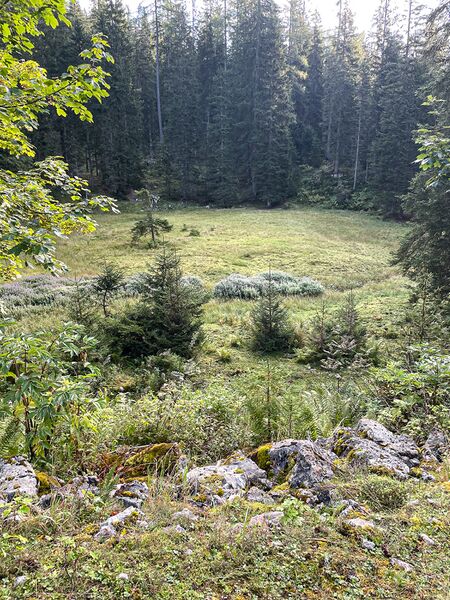 Datei:Himmeleben 3802.jpg