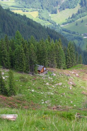 Im wildkar 23574 2008-06-26.jpg