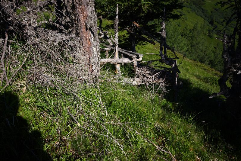 Datei:Klockalm 57769 2015-07-11.jpg