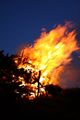 Luserwand sonnwendfeuer 23251 2008-06-21.jpg