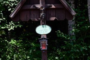 MA Zinnebner palfau-0842-2025-06-24.jpg