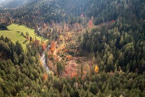 Manuel Capellari Grimmingbach bei Lessern.jpg