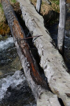 Obertalbach keinprecht 0589 2008-06-01.jpg