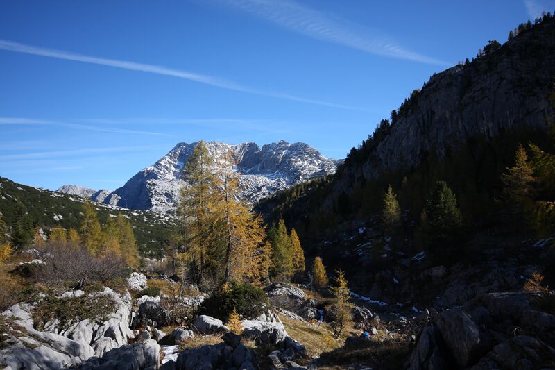 Datei:Rotgschirr elmgrube-1000-2011-10-16.jpg