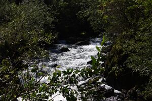 Schwarzenseebach kleinsölk 72615 2014-09-17.jpg