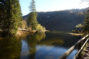 Toplitzsee 77774 2014-11-03.jpg