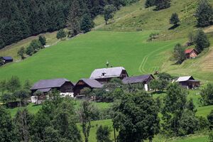 Vlg Klein hinterwald-30-2018-07-04.jpg