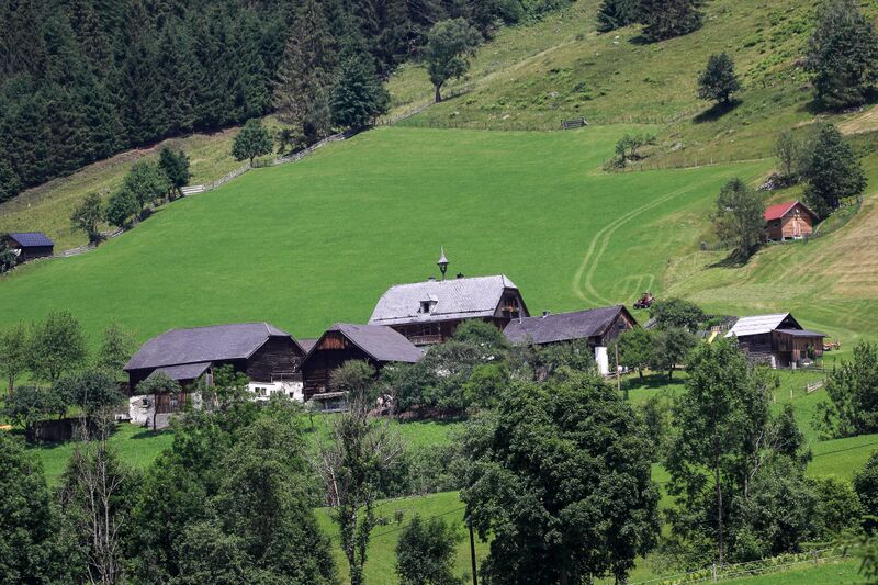 Datei:Vlg Klein hinterwald-30-2018-07-04.jpg