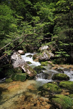 Zimitzbach grundlsee 77306 2018-06-04.jpg